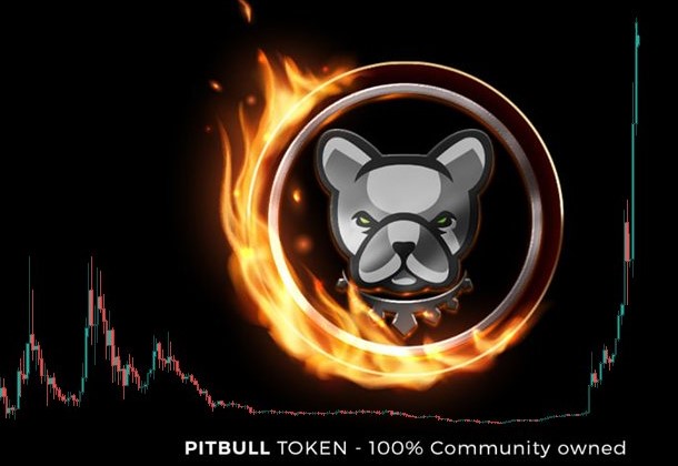 Pitbull Coin Price Prediction