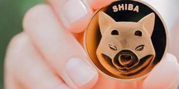 100 dolar Shiba Inu yatırımı yapsaydınız bugün size ne kadar kazandırırdı?